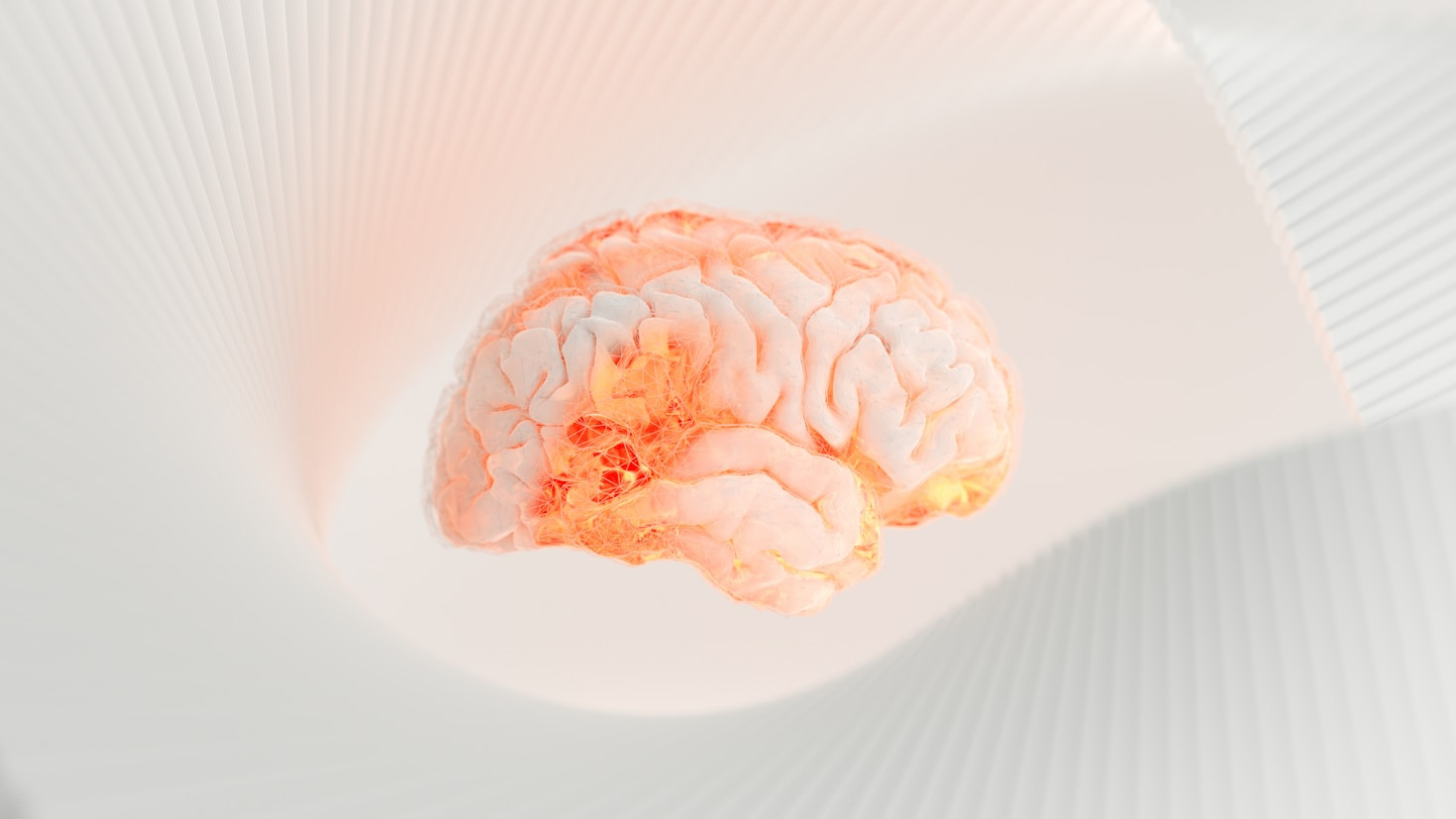 Bridging Neuroscience and Ecology for a Better Planet